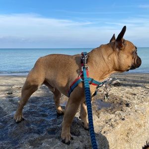 Meet your Posher, Jake